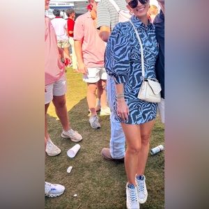 Ganni Zebra Print Poplin Dress